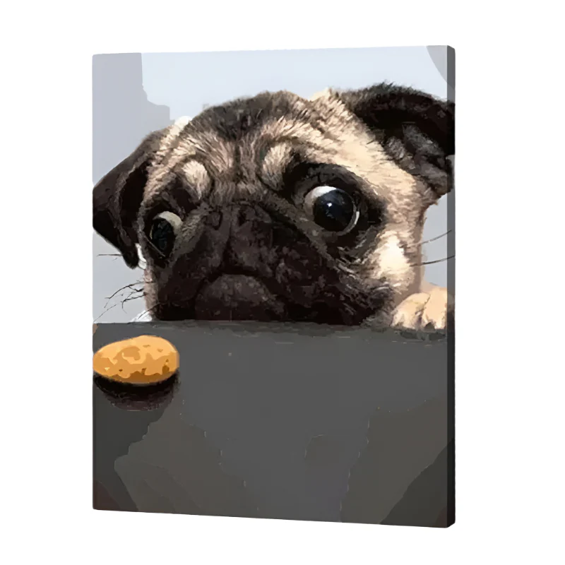 Best Sellers Paint by Numbers